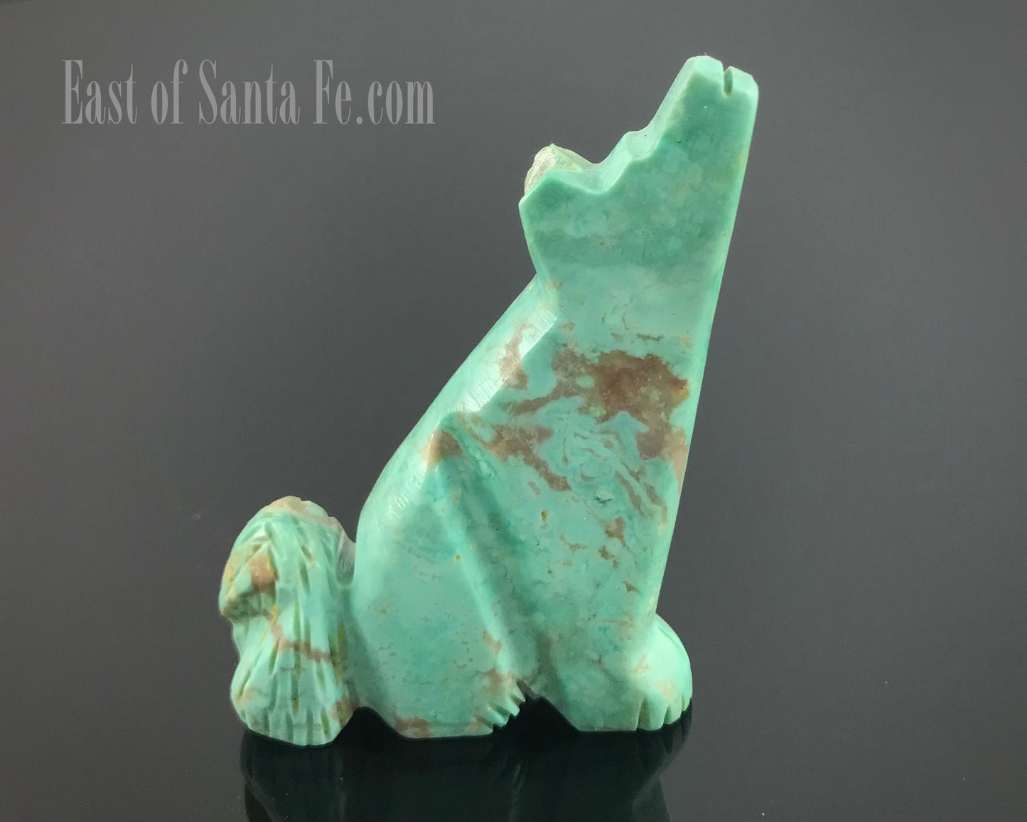 Large Zuni Turquoise Howling Coyote Wolf Fetish Native American