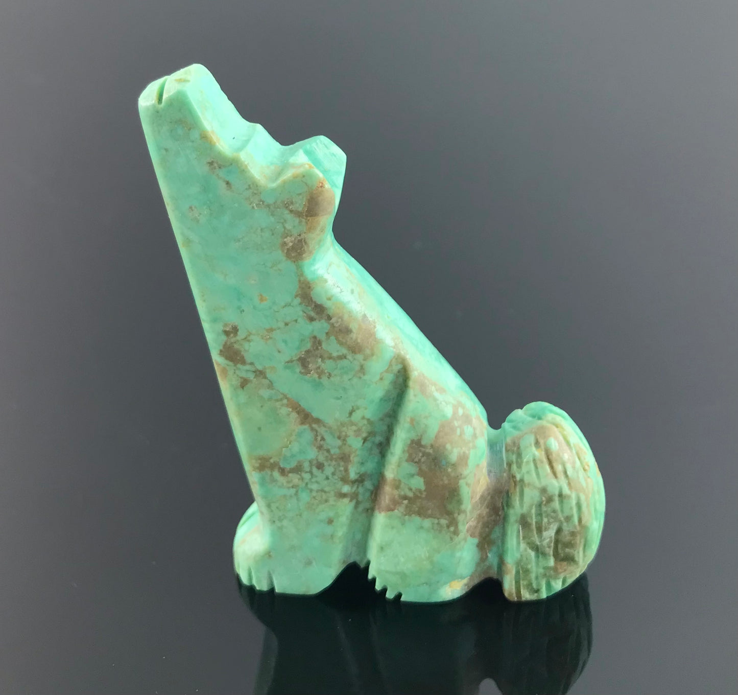 Large Zuni Turquoise Howling Coyote Wolf Fetish Native American