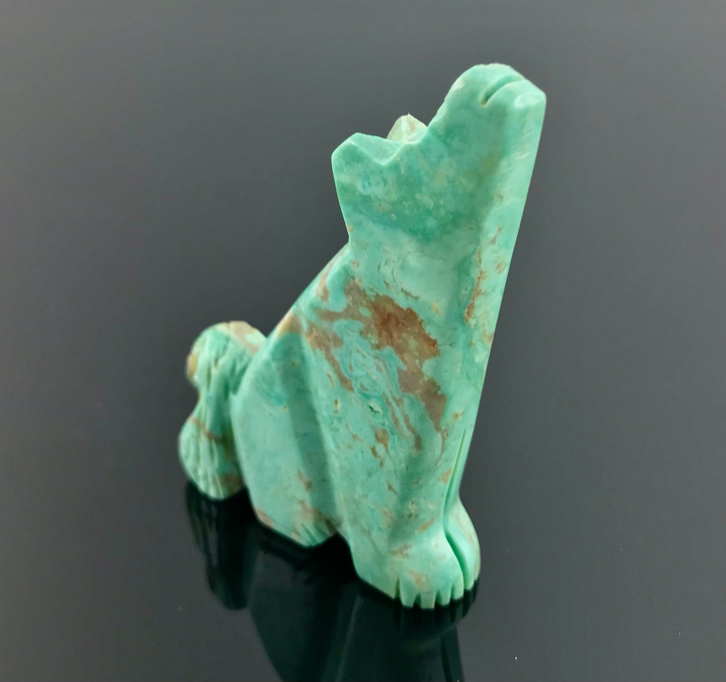 Large Zuni Turquoise Howling Coyote Wolf Fetish Native American